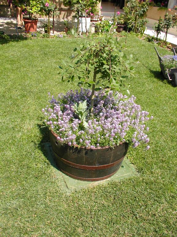 Rooms Vila Mautner Vodice Dış mekan fotoğraf