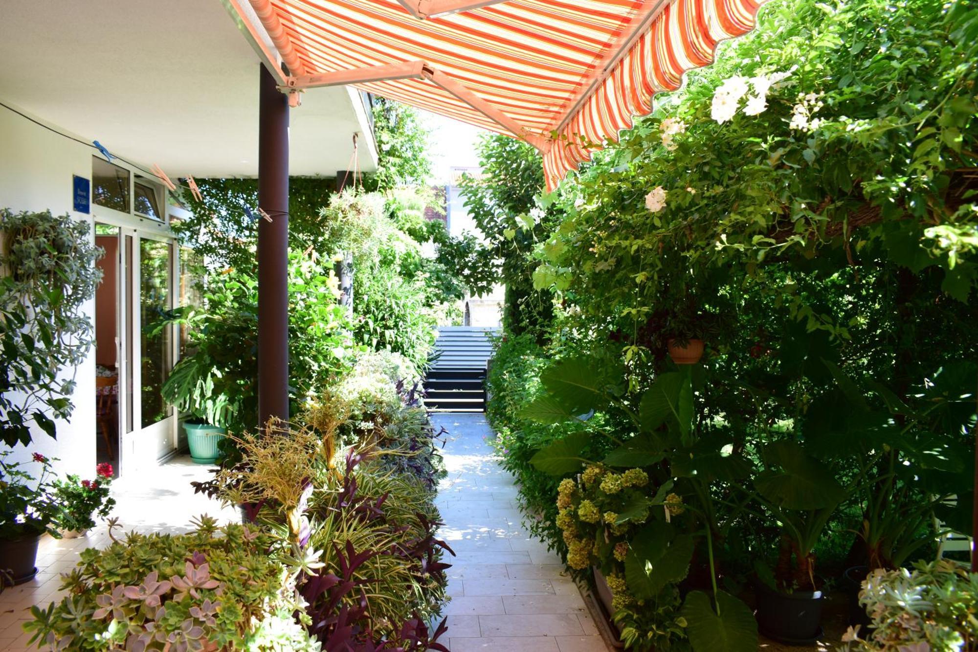 Rooms Vila Mautner Vodice Dış mekan fotoğraf